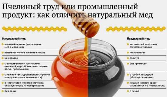 Как выбрать натуральный мед