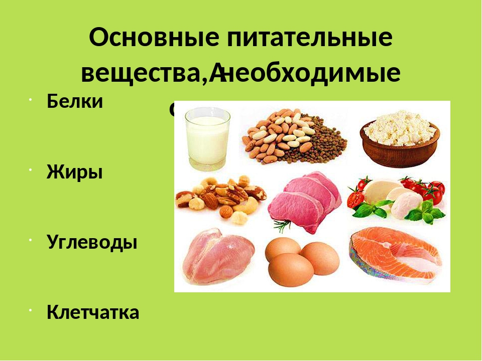 Какие продукты содержат жиры белки