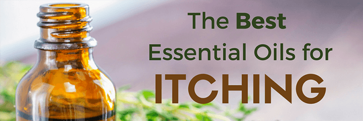 The top essential oils for itching and the most effective essential oil itchy scalp remedy.