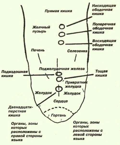 Диагностика по языку в китайской медицине картинки