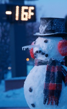 AR0M5K Frozen Snowman w/ Icicle Nose & Below Zero Sign SC AK Winter