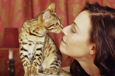 Your cat may touch your nose in greeting, just as he does with other cats. It