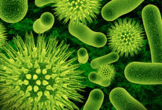 бактерии причина боли в горле
