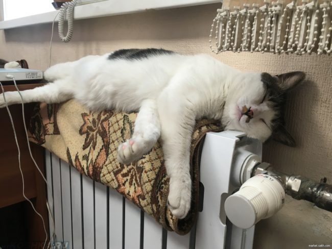 Белый кот с серым пятном спит на белой батарее под подоконником