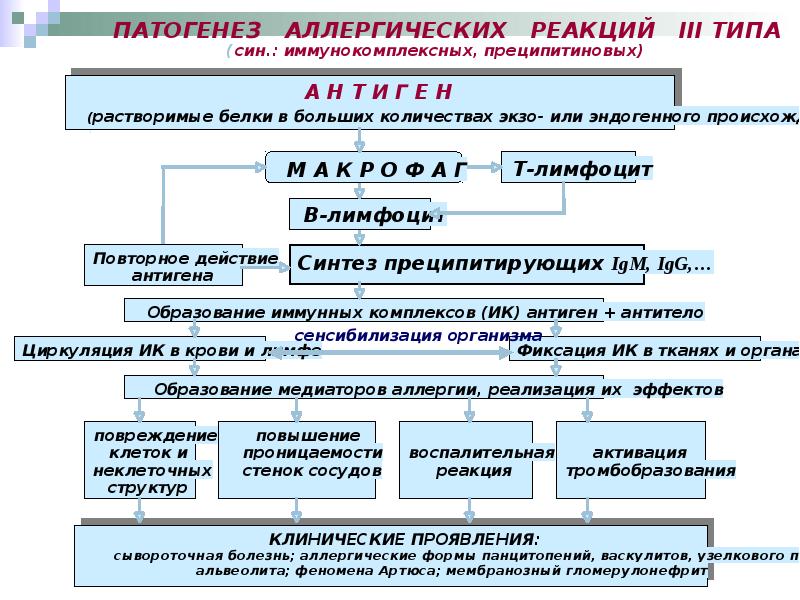 Виды аллергических реакций фото виды