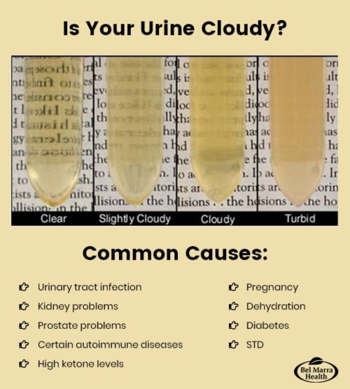 Is your urine cloudy
