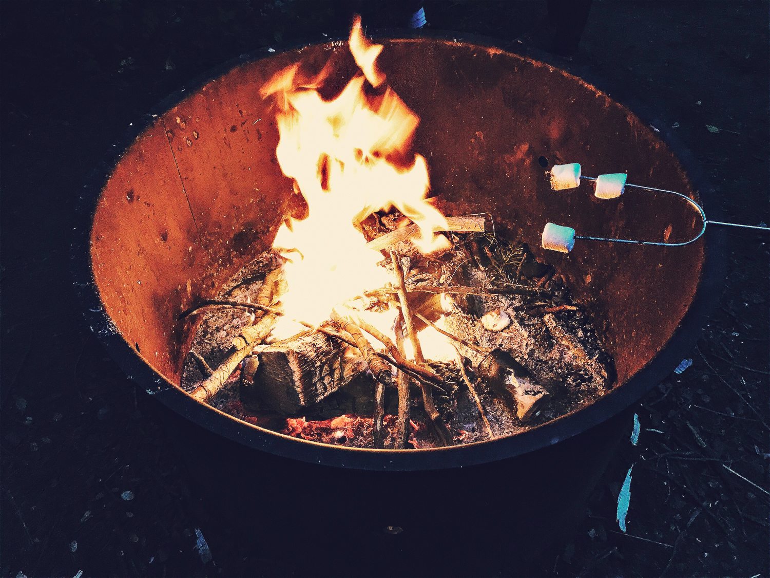 Cooking marshmallows on a firepit
