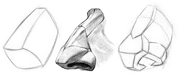 Nose drawings of the major and minor planes with nose anatomy