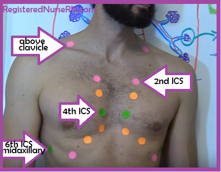 lung auscultation points