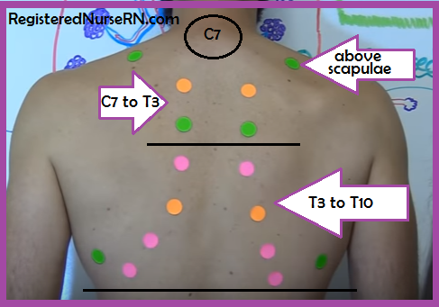 lung auscultation landmarks