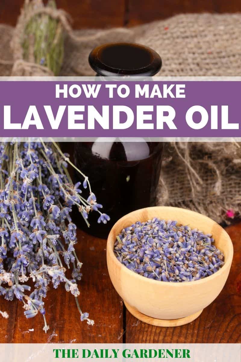 DIY Lavender Oil